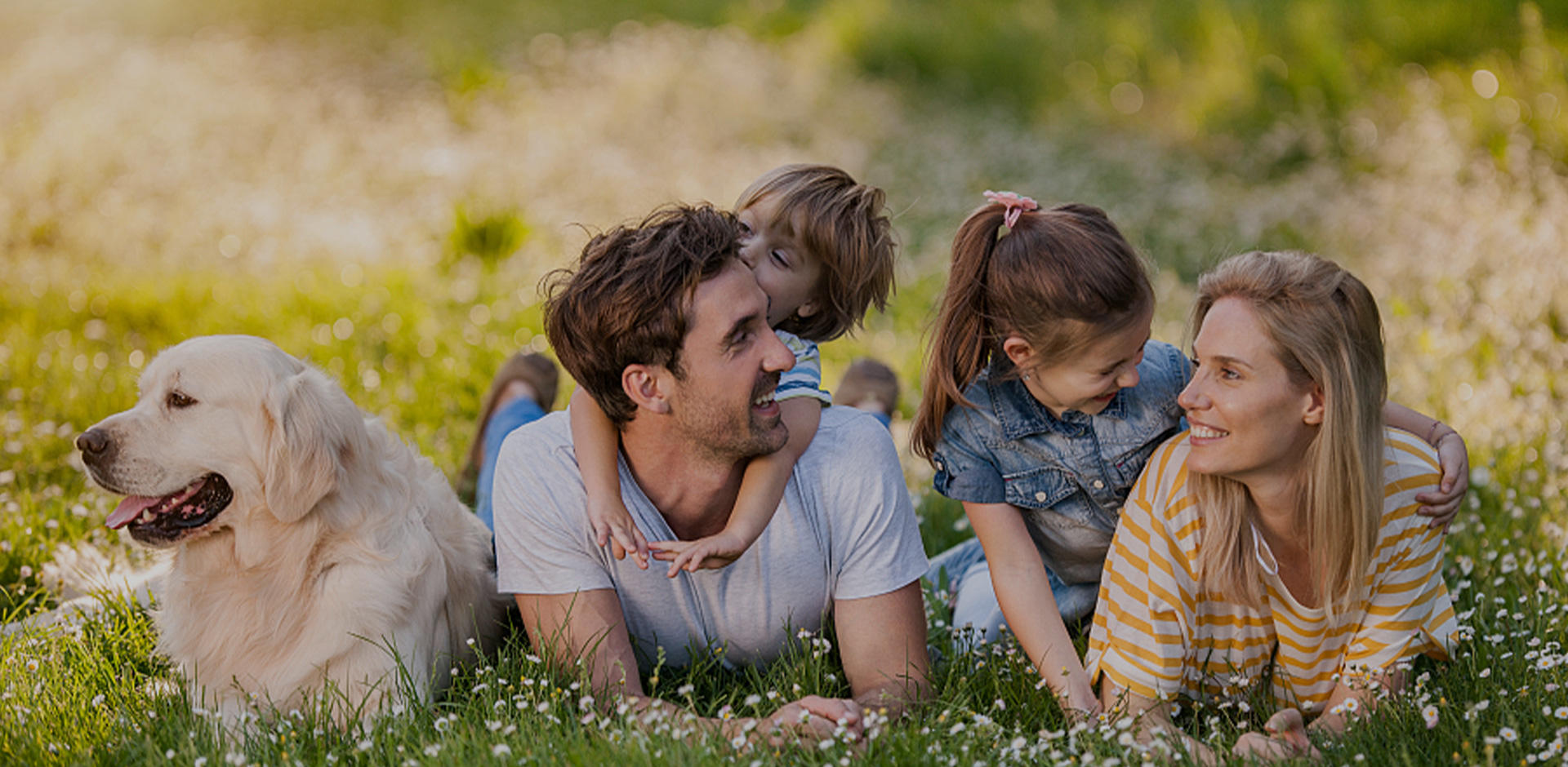 Skontaktuj się z nami