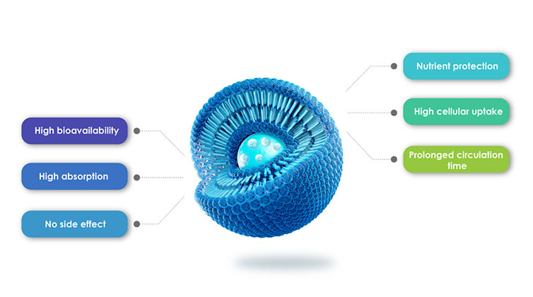 Zalety produktów liposomalnych