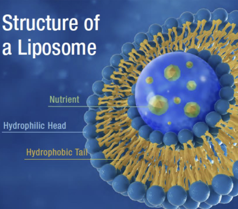 Poprawiona stabilność