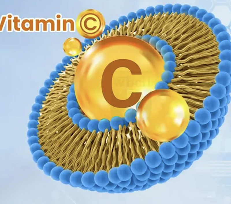 Struktura enkapsulacji