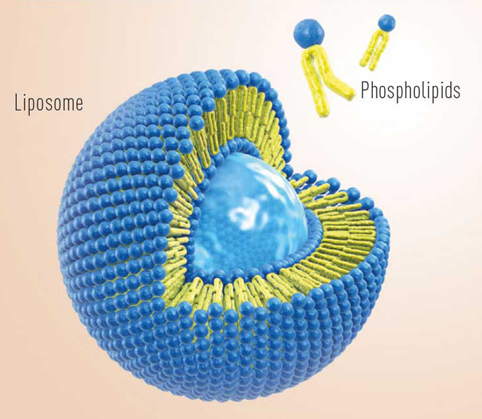 Dlaczego liposomalny