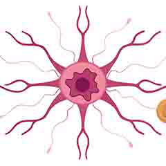Zdrowie układu nerwowego