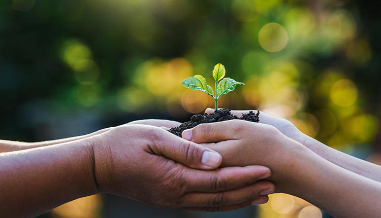 O radosnej społecznej odpowiedzialności żywieniowych
