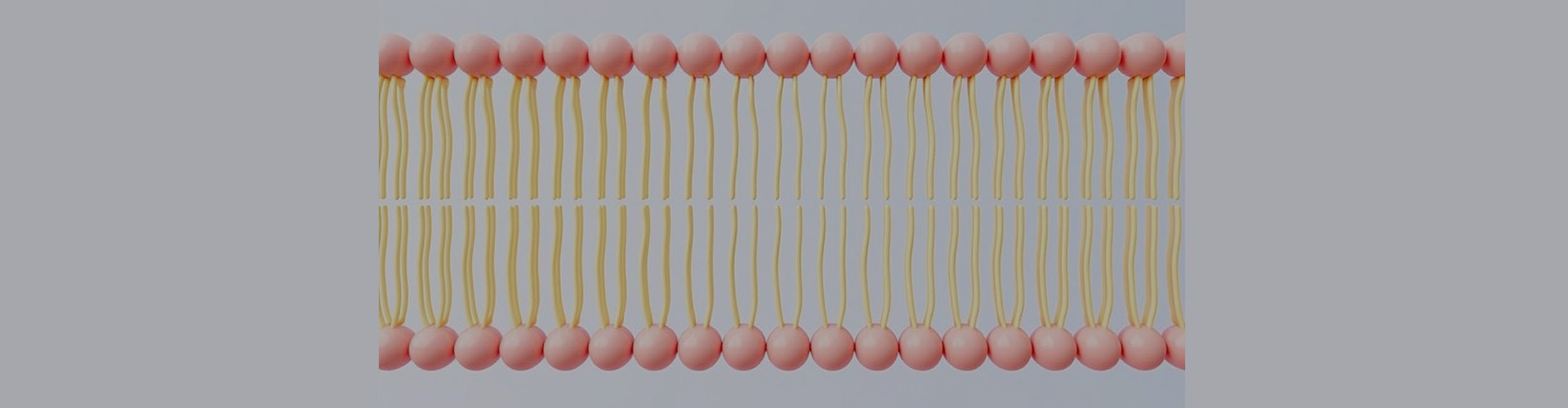 Dostosowanie liposomalne