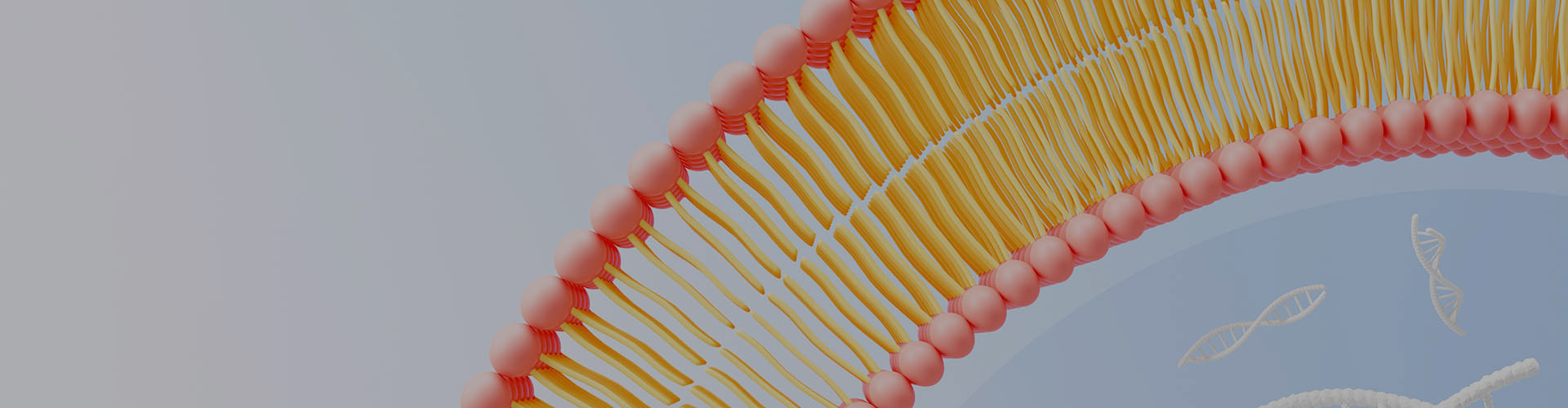 Dlaczego liposomalny