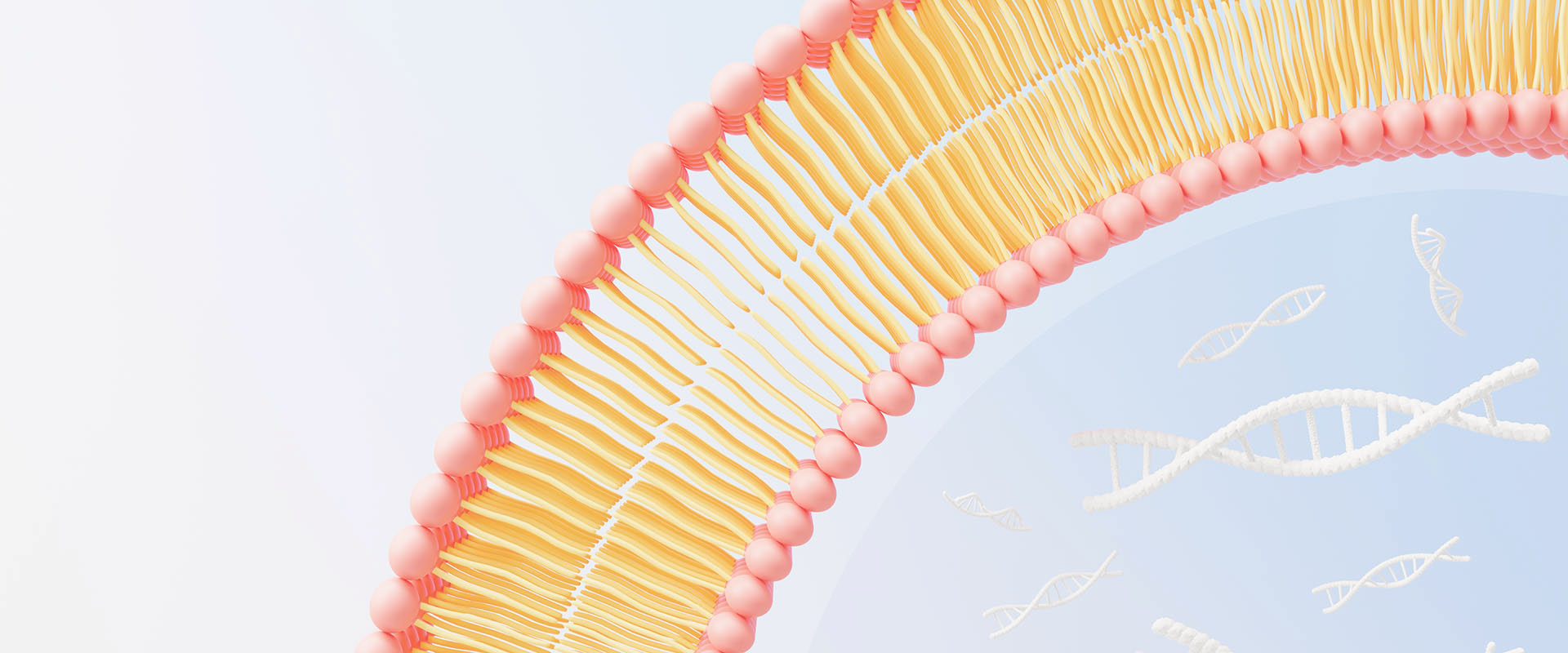Czym są witaminy liposomalne