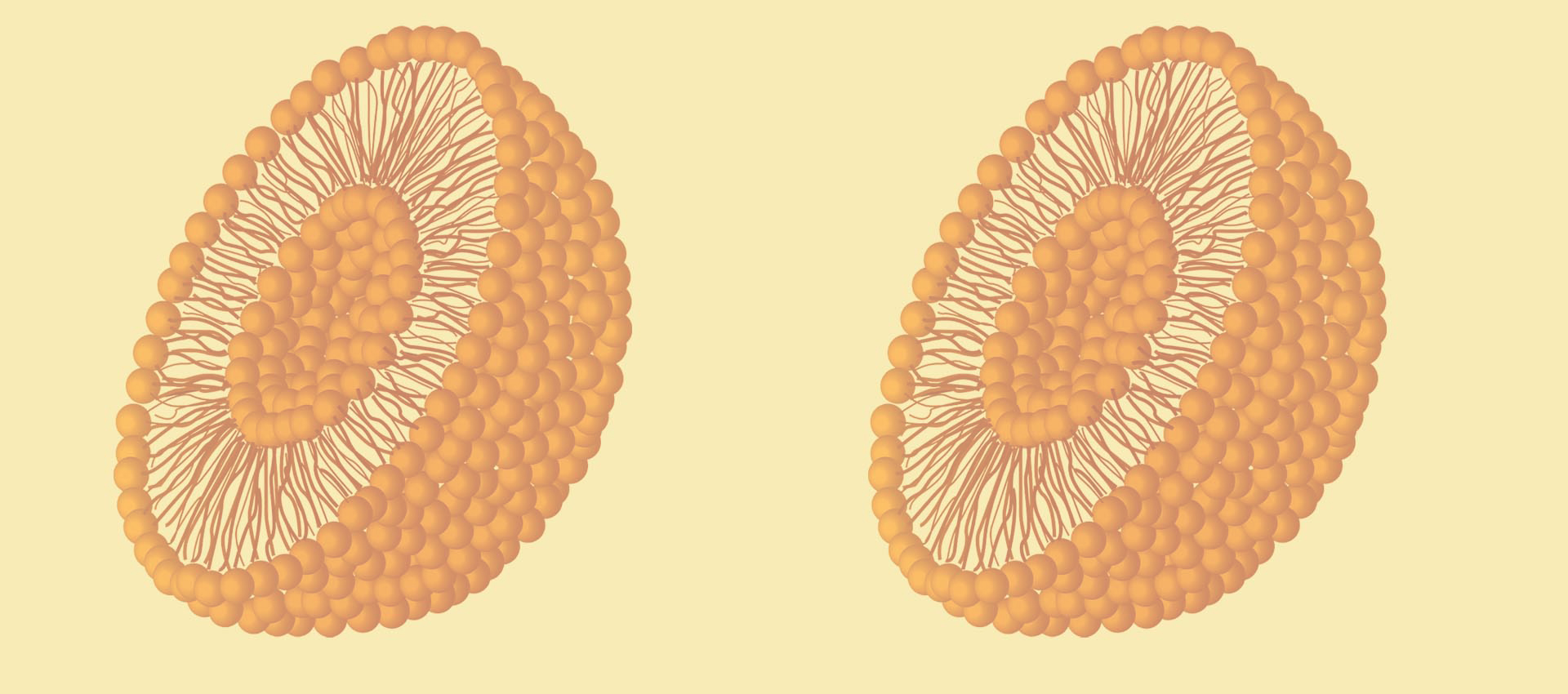 Liposomalna witamina B2