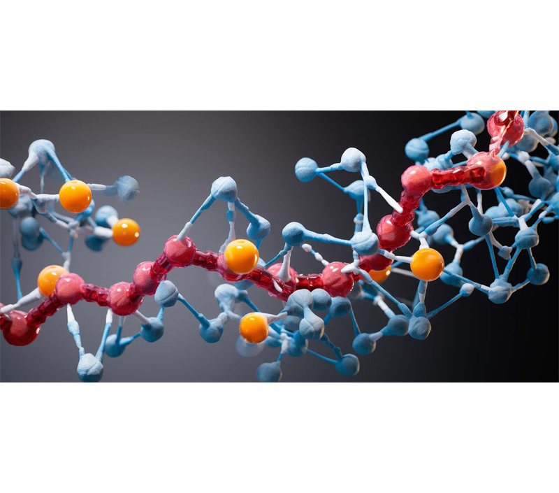Poprawia metabolizm komórkowy