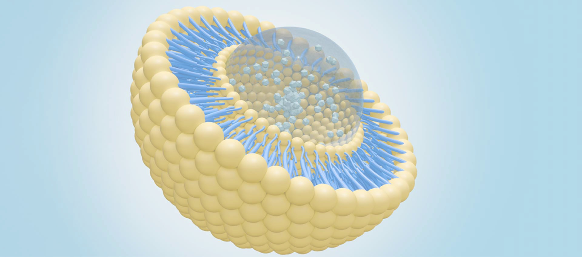 Liposomalny kwas alfa liponowy