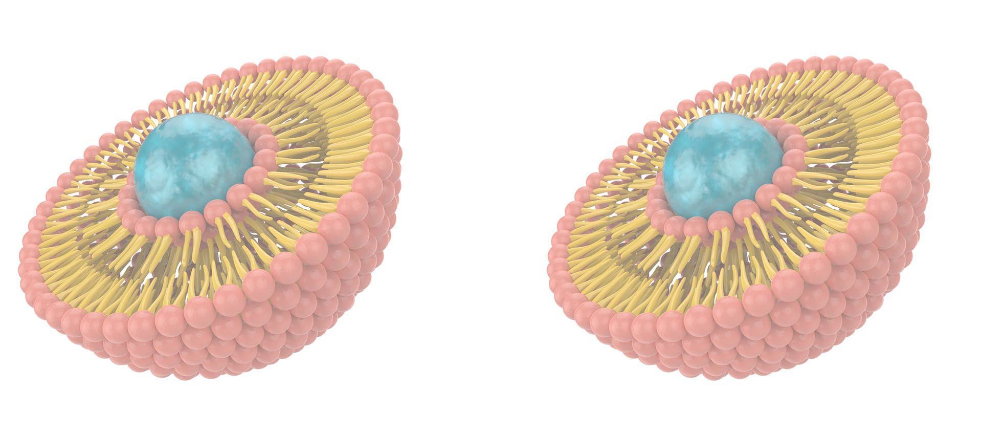 Liposomalny kompleks witaminy B