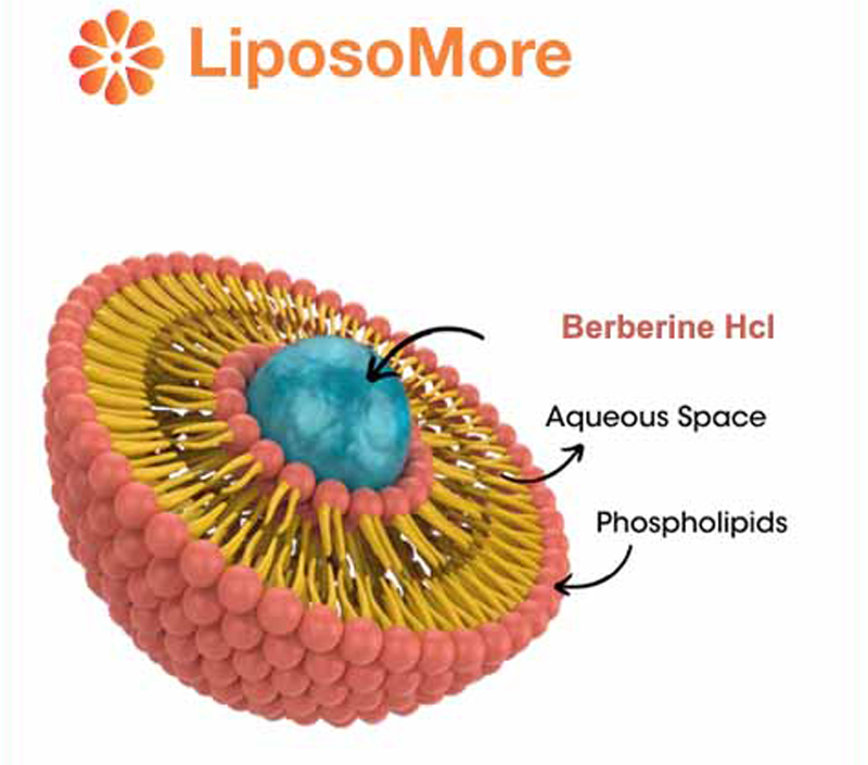 Wspiera cholesterol i zdrowie układu sercowo-naczyniowego