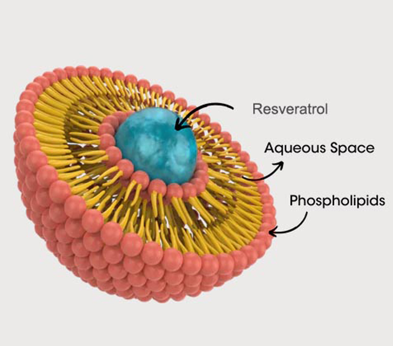 Ochrona przed starzeniu się i komórkowa