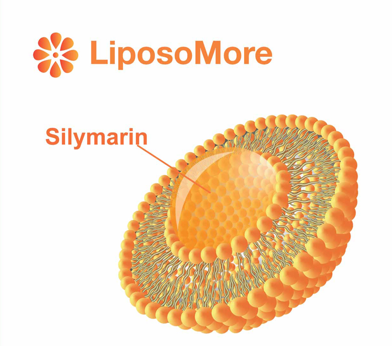 Zwiększona biodostępność i absorpcja komórkowa