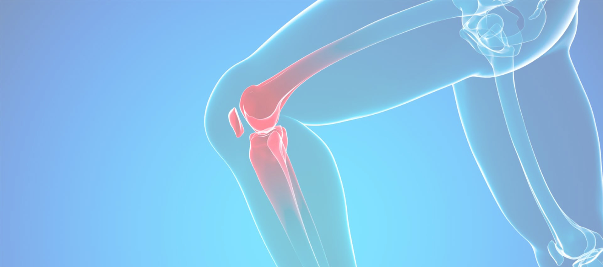 Kolagen liposomalny typu II