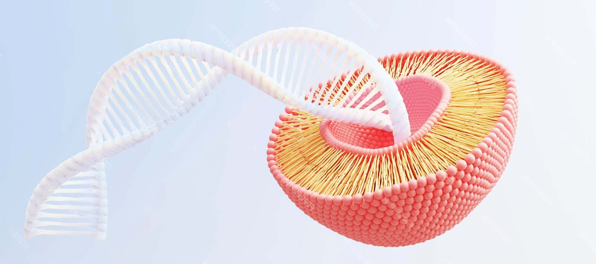 Liposomalny pirofosforan żelazowy