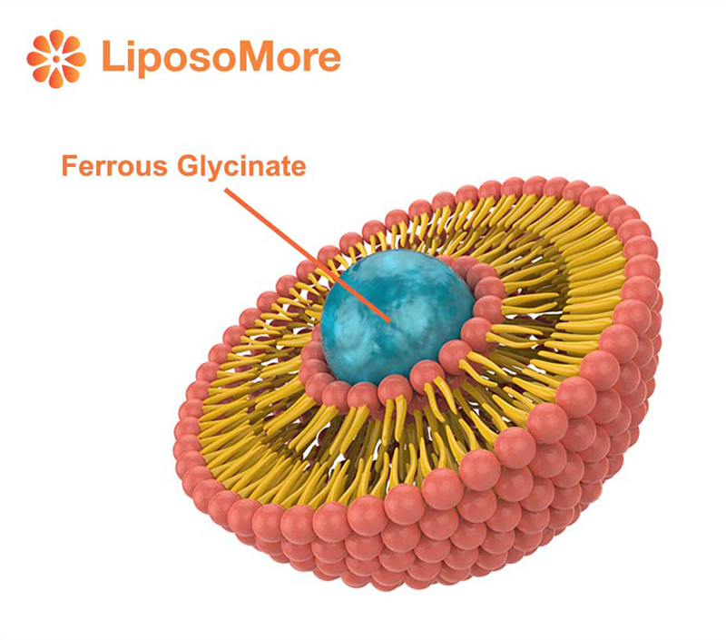 Znacząco poprawiona biodostępność dla wydajnego suplementacji