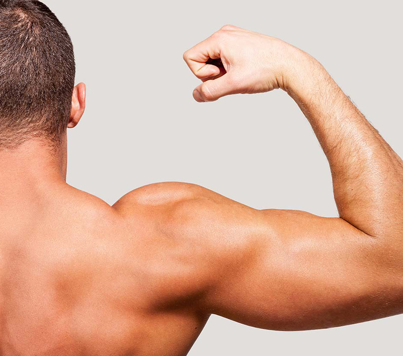 Wspiera funkcję mięśni i regenerację fizyczną