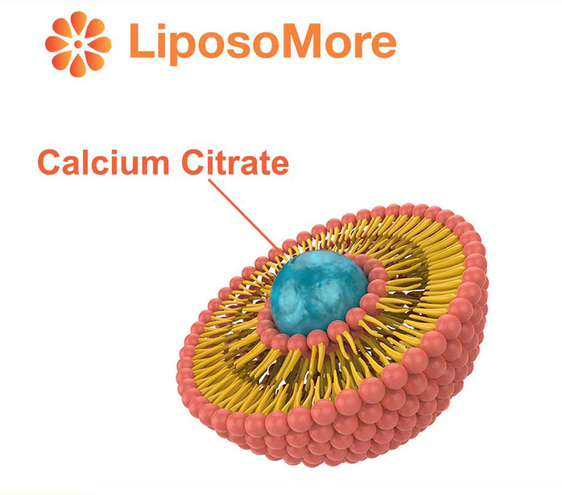 Doskonała biodostępność dzięki dostawie liposomalnej