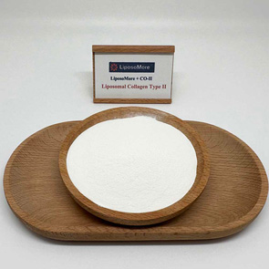 Kolagen liposomalny typu II