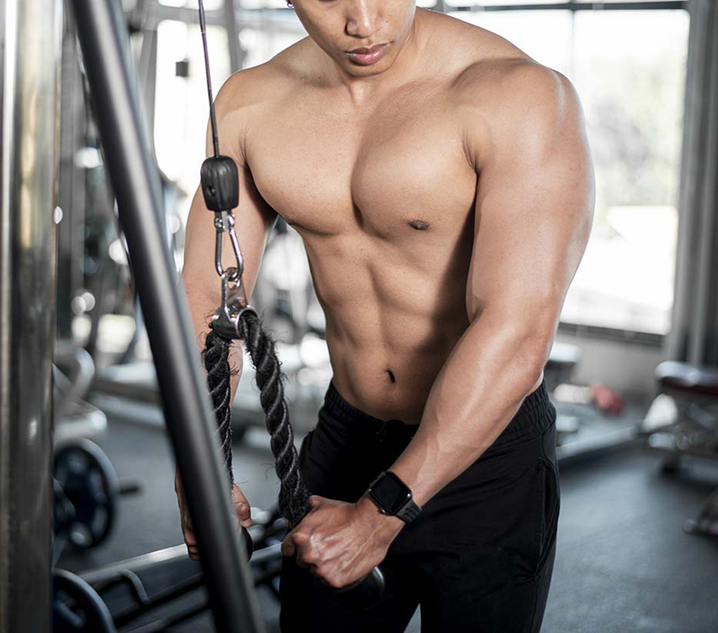 Wspiera wzrost i regenerację mięśni