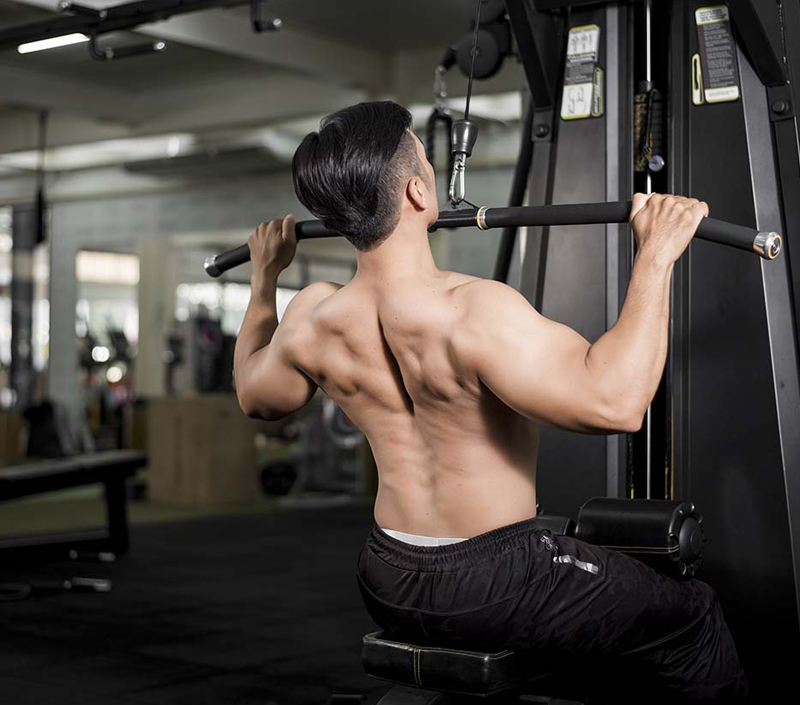 Obsługuje funkcje komórkowe i mięśniowe