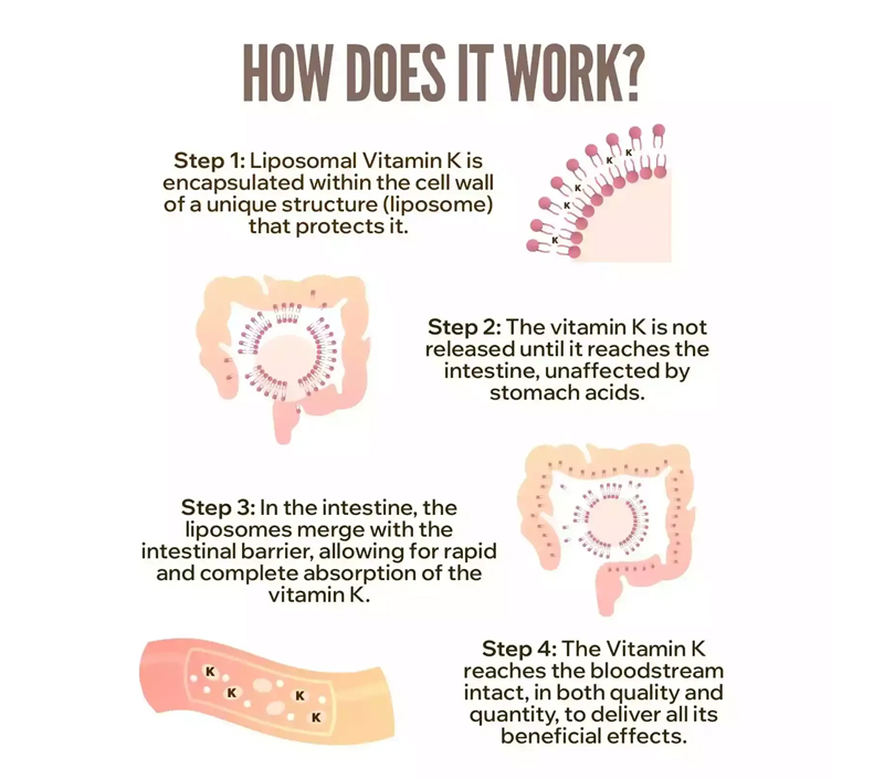 Doskonała biodostępność dla lepszej absorpcji