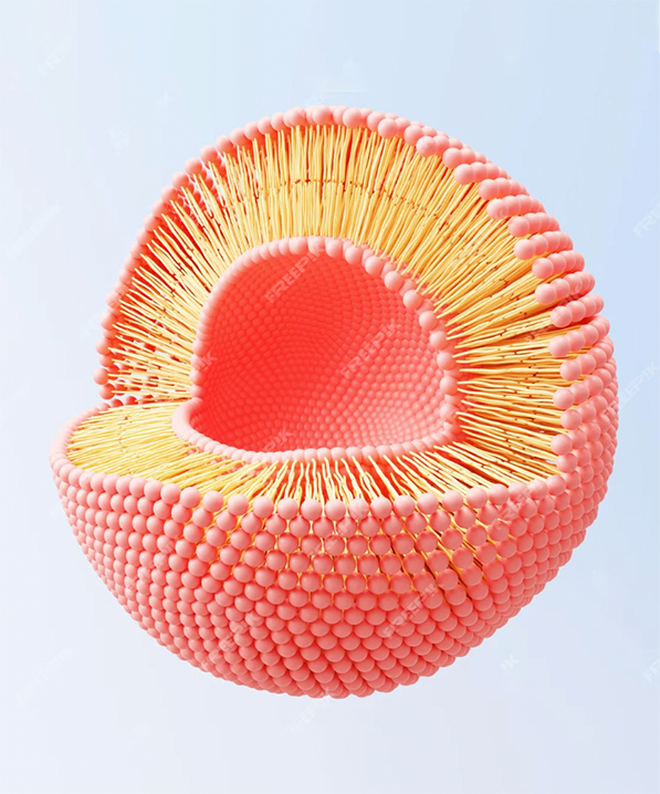 Czym jest Liposomal?