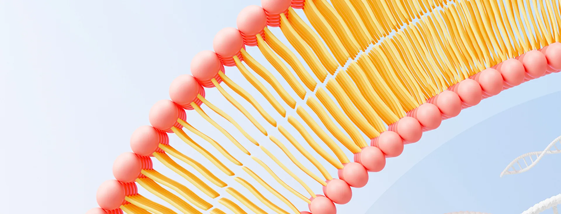 Producent składników liposomalnych