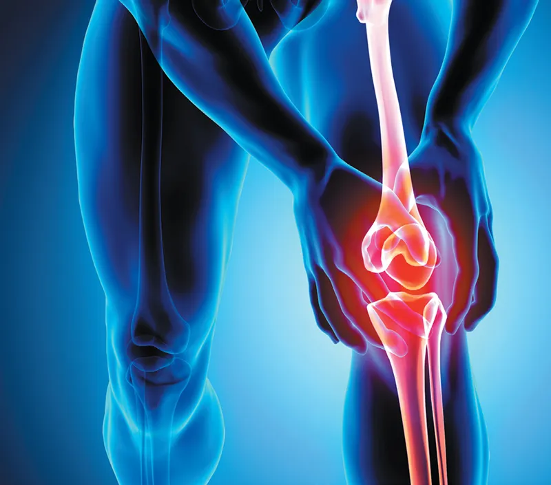 Skuteczne wspólne wsparcie komfortu i mobilności