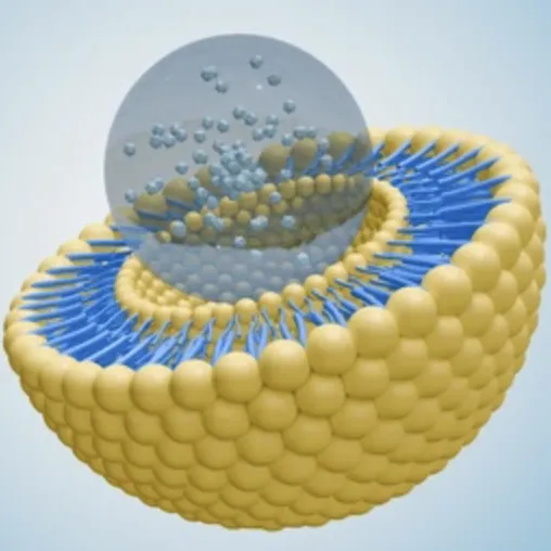 Mikrokapsułkowanie a technologia liposomalna: która jest lepsza dla suplementów diety?